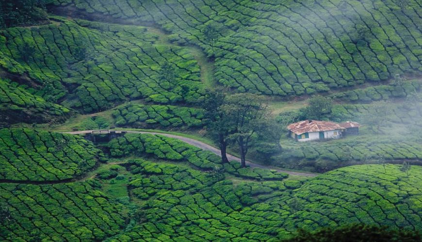 Kerala Tour Packages